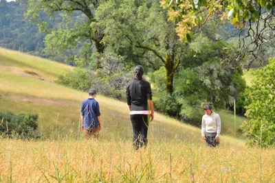 DSC_6827 (Large).JPG